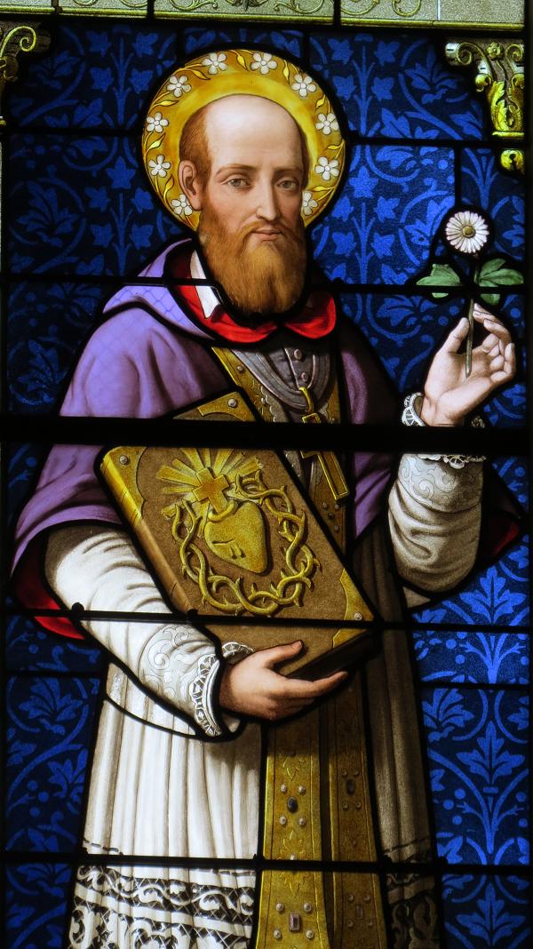 Saints' Struggles: St Francis de Sales